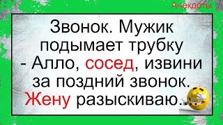 Мужик И Соседка Дашка... Подборка Смешных Жизненных Анекдотов. Лучшие Короткие Анекдоты