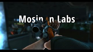 dont take the Mosin into labs