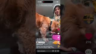 Cheddar product review