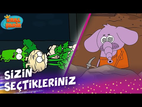 Sizin Seçtikleriniz 💛 | Bölüm 17 -  Kral Şakir