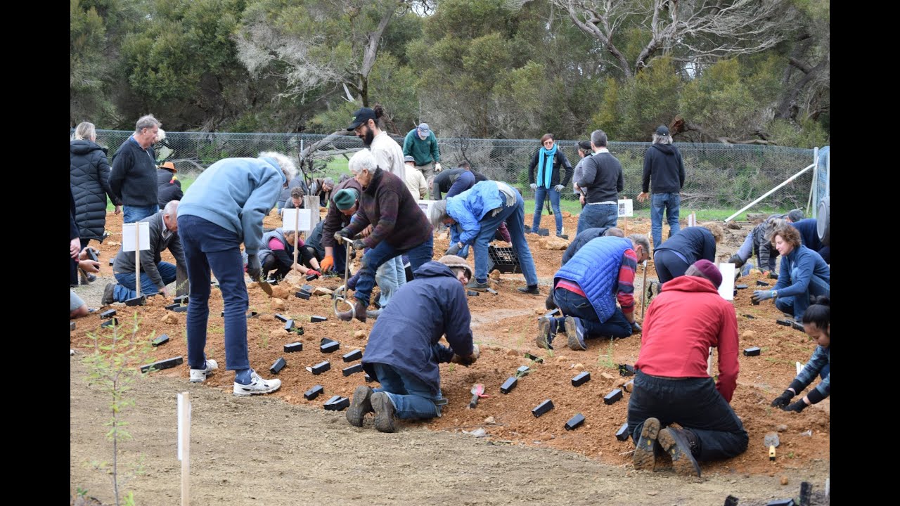Landcare-led Bushfire Recovery projects - Kangaroo Island