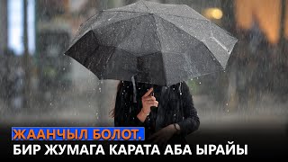 Жаанчыл болот. Бир жумага карата аба ырайы