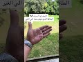 صفات زوهري حرف 