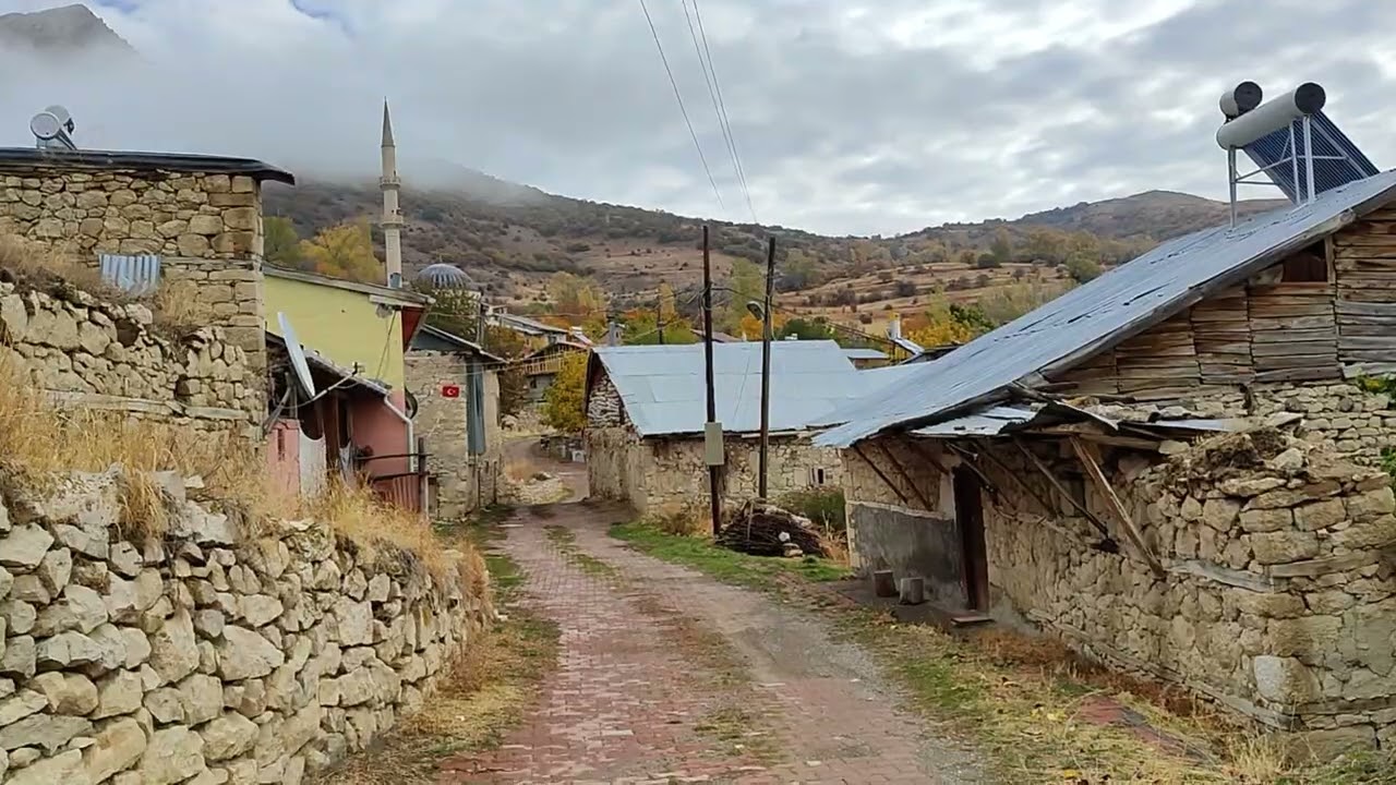 Kışa girerken sarı sarı yapraklar