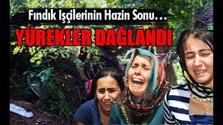 Fındık İşçilerinin Hazin Sonu… Yürekler Dağlandı