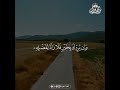 Deep Emotional Quran Recitation for Healing the Soul and Heart Serenity #Quran #Healing