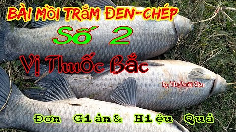 Chia Sẻ Bài Mồi Câu Lục Đen Chép Số 2#Vị Thuốc Bắc#Đơn giản-Carp Bait Black fishing as Six Hook