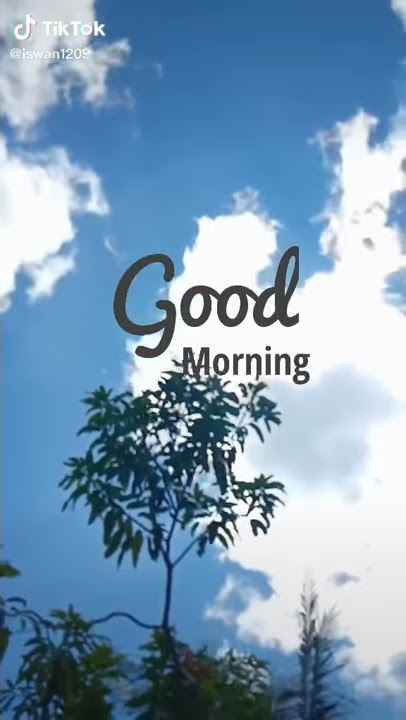 Selamat pagi | story WA keren ♪♥