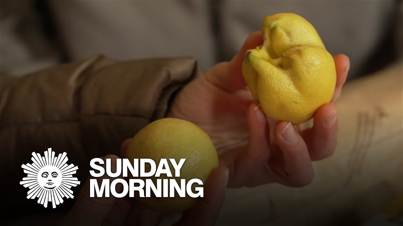 What happens to ugly fruit and produce?