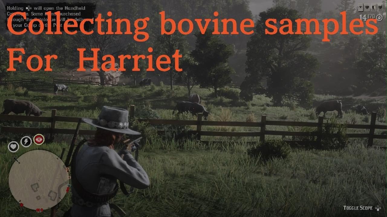 Rdro Rdr2 online naturalist farm animal samples