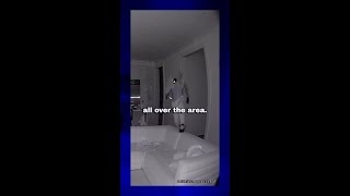 The Robber's Plea Deal