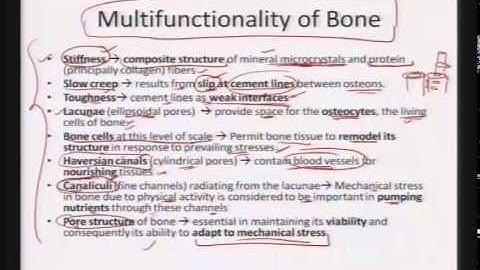 Mod-01 Lec-31 Nanomaterials in Nature: Bone