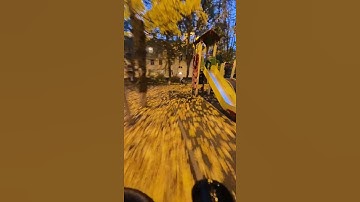 AUTUMN FLIGHT ON THE GEPRC TINYGO 4K FPV DRONE WITH INSTA360 GO2