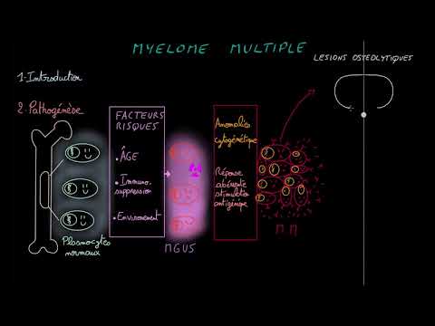 Vidéo: Myélome Multiple Et Anémie