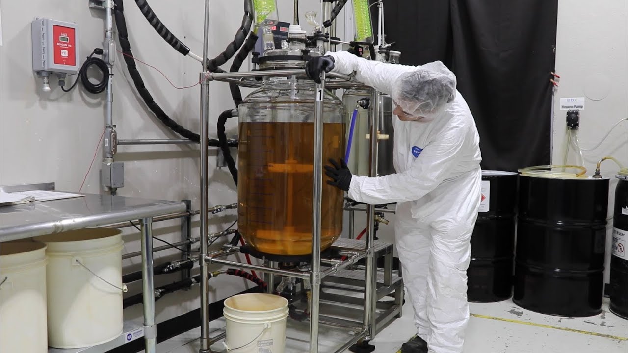 Full Scale Delta 8 THC Reaction