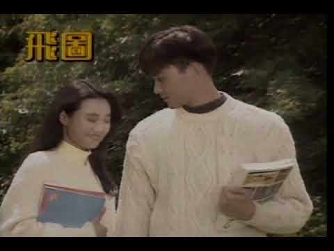 片片枫叶情 许秋怡 张智霖