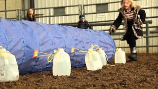 K-9s and 4-H: The Dog Project in Action