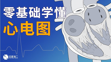 零基础学懂心电图 ｜ Electrocardiography (ECG/EKG) Basic