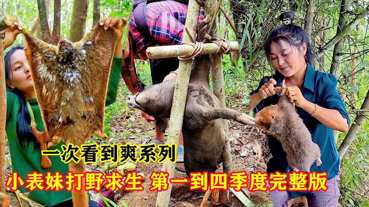 一次看個爽之荒野小表妹野外生存，打造各種裝置收穫極品美味，大野豬大竹鼠應有盡有，還有極品野果和木薯，這樣的野外生存太精彩了！ - YouTube