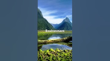Different types of environments./what is environment?#environment#shorts feed#viral shorts#nature