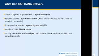 Sap Business One Hana Part I - Introduction