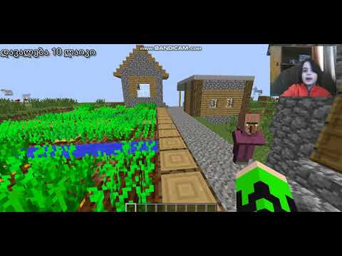 სოფლის სიდი minecraft