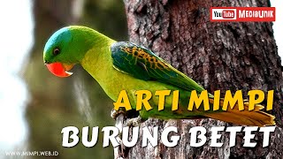 Arti Mimpi Betet - Mimpi Melihat Burung Betet