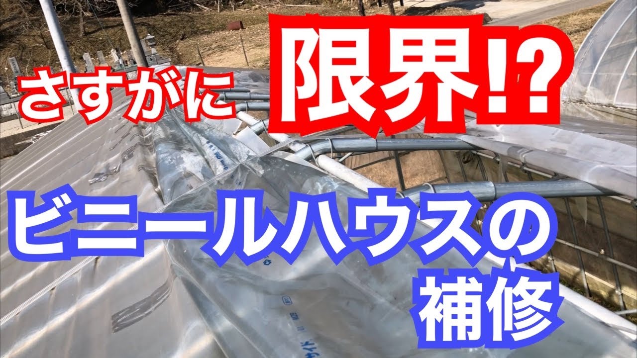 Repair of greenhouses - YouTube