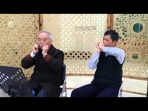 20160315 酒醉的探戈--洪勝美老師口琴演奏葫蘆墩文化中心