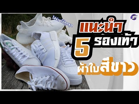 แนะนำ‼️ 5 รองเท้าผ้าใบสีขาว แต่งตัวง่ายและ ดูดี