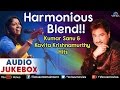 Harmonious Blend !! - Kumar Sanu & Kavita Krishnamurthy Hits | 90's Bollywood Romantic Songs