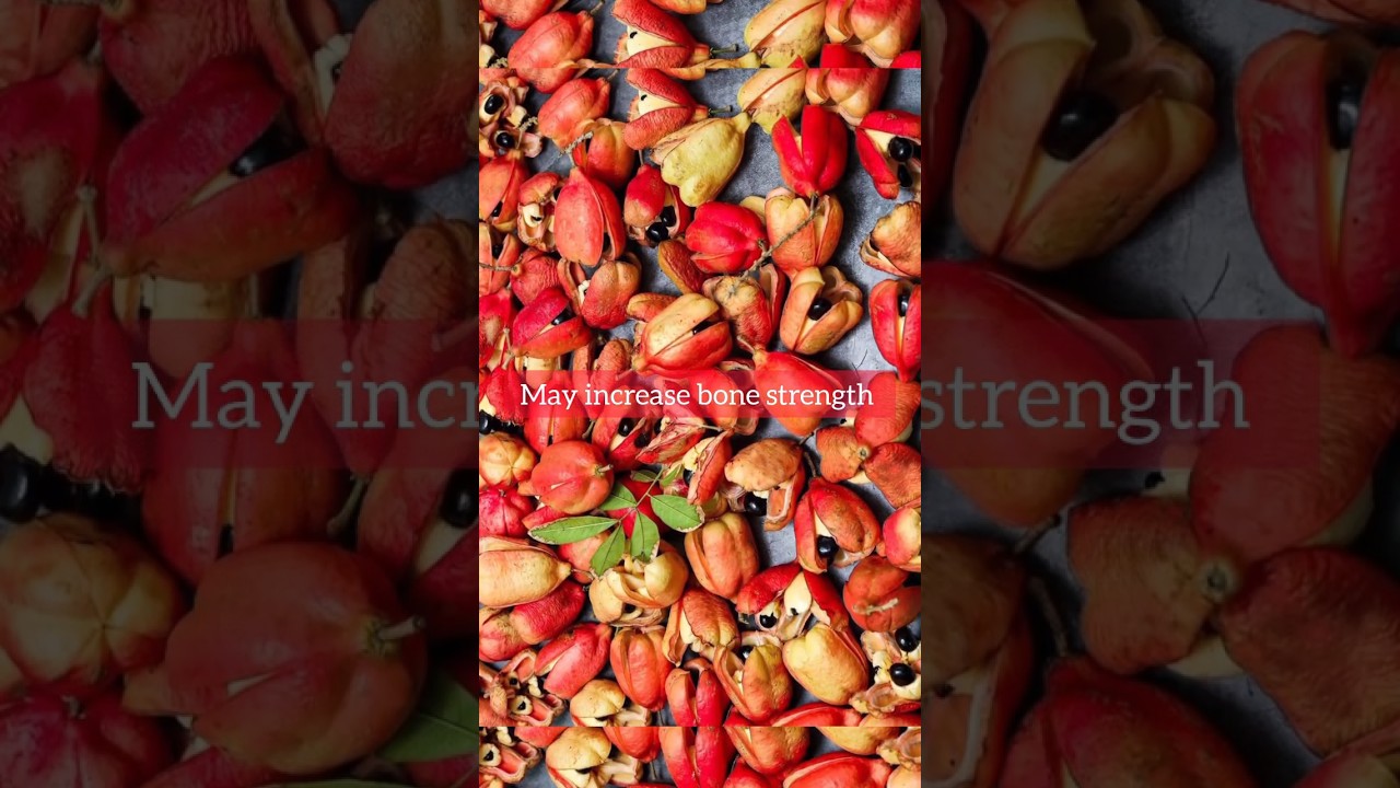 Health Benefits of Ackee 