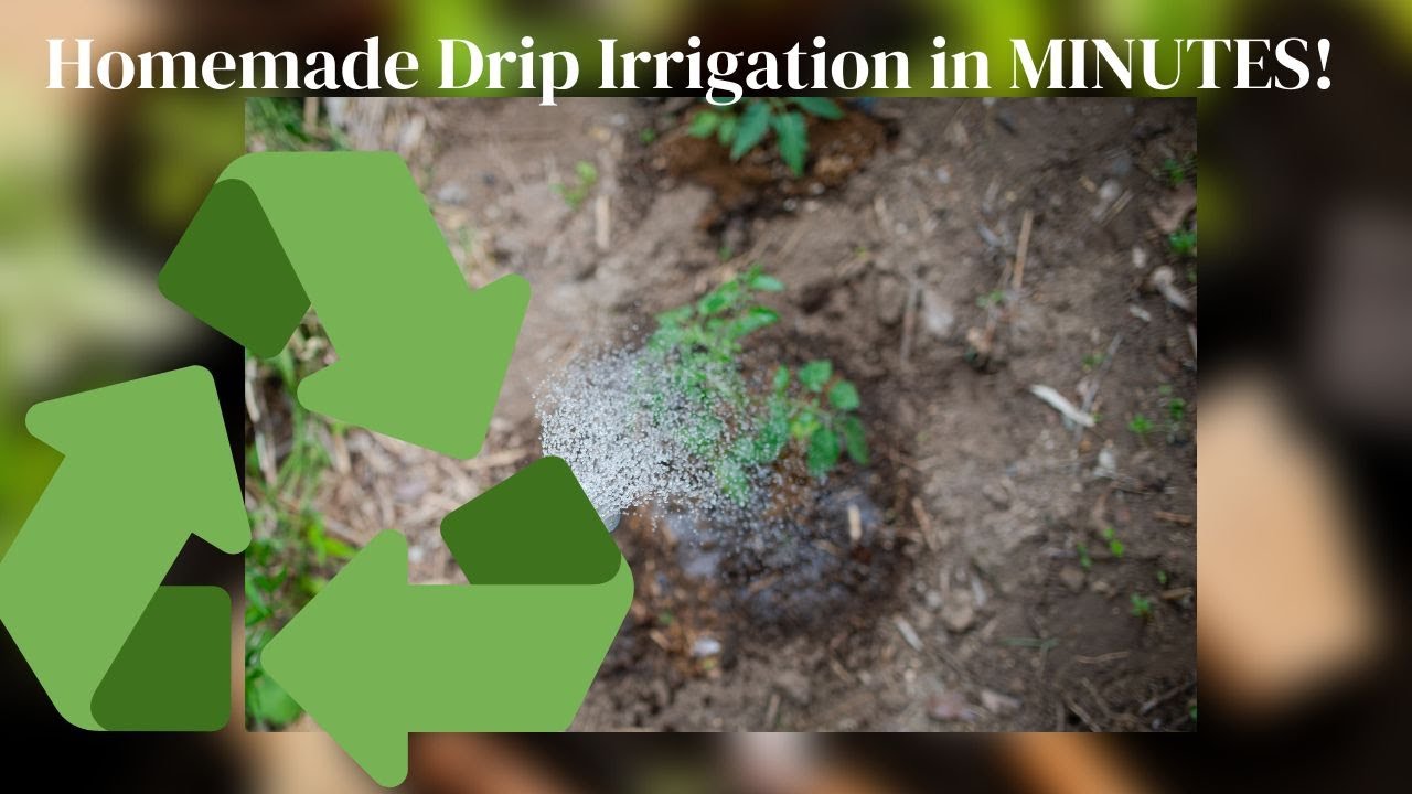 Homemade Drip Irrigation - YouTube