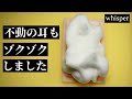 ASMR ゾクゾクで全身が浮くような炭酸泡耳マッサージとささやき Bubble Ear Massage (Whisper)