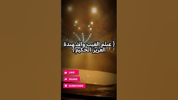 #الشيخ_رشيد_الروسي من سورة التغابن #القران_الكريم_راحه_نفسية #هيثم_الدخين #الشيخ_ياسر_الدوسري #قرآن