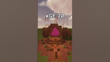 Nether Portal’s at Different Ages (Worlds Smallest Violin) #shorts
