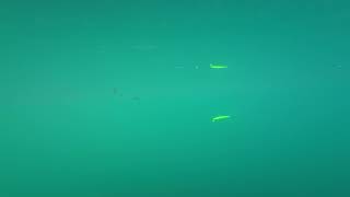 エンパシー90 水中