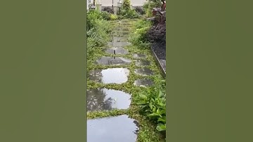 Béc tưới phun múa hunter , béc tưới cảnh quan chôn âm đất