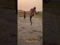 High jumping practice videos #sscgd2024 #youtubeshortfeed#shortsbeta