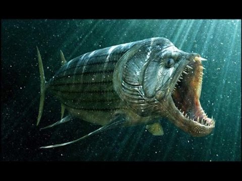 Prehistoric Sea Creatures - YouTube