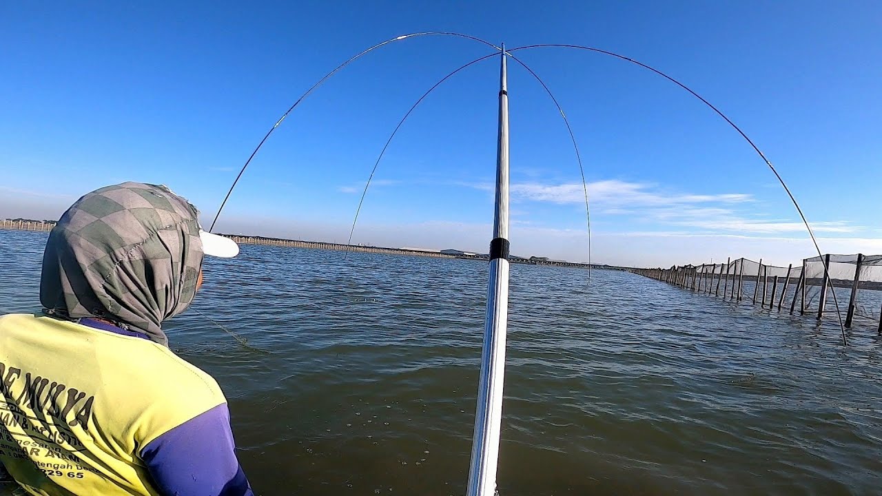 Ah yang benar saja‼️Lokasi 1 bahu ikannya segini-segini