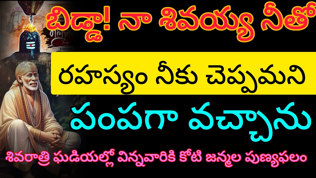 బిడ్డా నా శివయ్య నీతో ఈ రహస్యం నీకు చెప్పమని పంపగా వచ్చాను వెంటనే విను