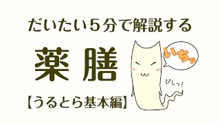 だいたい5分で解説する薬膳01【うるとら基本編】