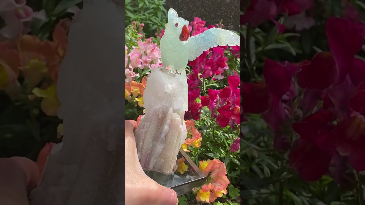 プレミアム・石の鳥さんシリーズ【レムリアンアクアティンカル