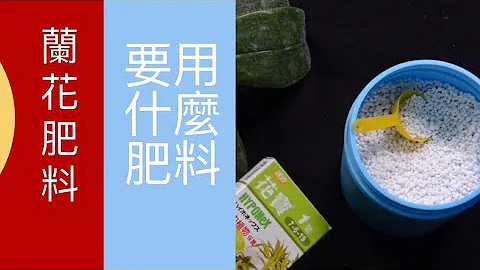 肥料用的好 植物長的好 肥料用不好帶你上天堂 石斛蘭 蝴蝶蘭 要選用什麼肥料施肥呢 今天來談談蘭花的 肥料 二種常使用的 肥料 你用過哪一種肥料呢？ - 天天要聞