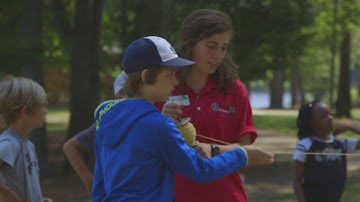 PLT Uses Forests to Teach All Kinds of Subjects
