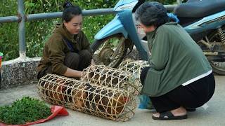 Nhi catches chickens and gathers fiddlehead ferns to sell at the market for extra income. screenshot 1