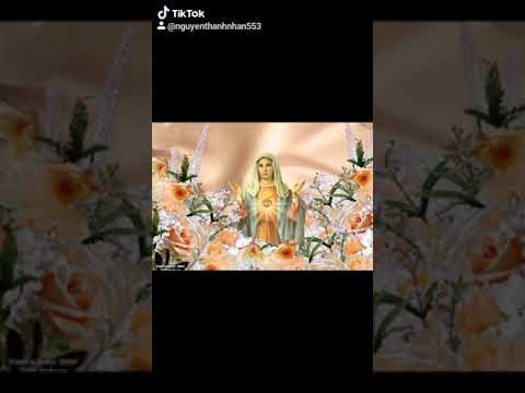 Video Những hình ảnh Đức mẹ đẹp nhất - youtube