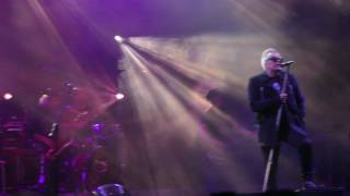 T Love "I love you" - Dni Dąbrowy Górniczej 27.05.2016 live koncert 4K w Parku Hallera