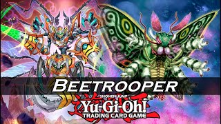 Yu-Gi-Oh! Beetrooper Combos 2023 2.0 (ft. Diabolantis the Menacing Mantis) Beetrooper Punks [EDOPro]